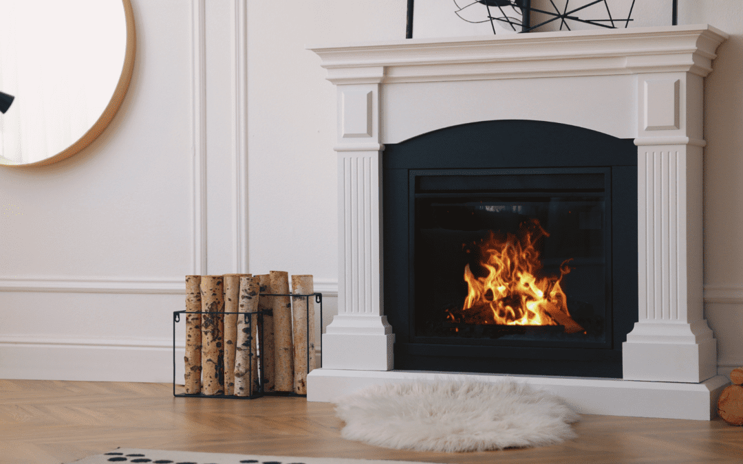 All You Need To Know When Shopping For A Modern Wood Stove