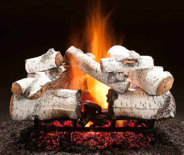 Best & No.1 Wood Burning Stove - Elegant Fireside and Patio
