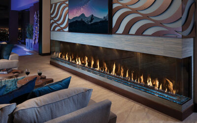 What’s the Best Way to Find Affordable Fireplace Door Replacement Richardson TX?